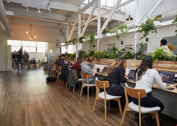 Preview this Ciel - Creative Space Coworking space for Rent in Berkeley