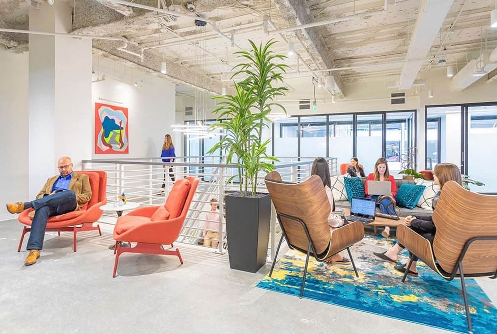 Serendipity Labs - White Plains Downtown