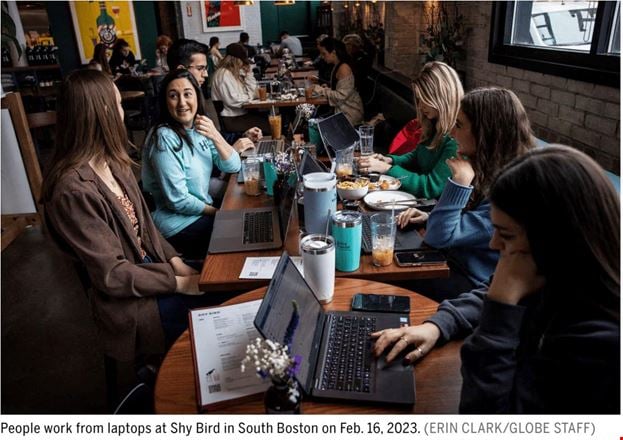Preview this Shy Bird Coworking space for Rent in Boston