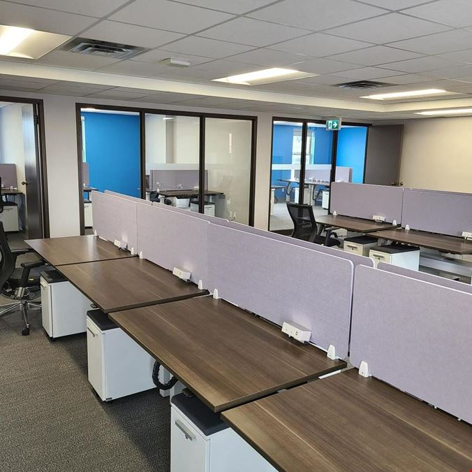 Connect Digital Hub