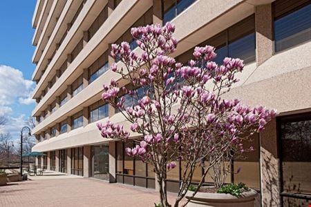 Preview this Oasis Office LLC - Ivy Coworking space for Rent in Greenbelt