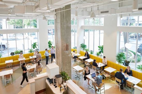 Hatchways Workspace - Hatchways