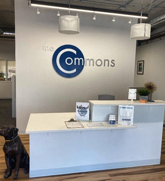 The Commons WP